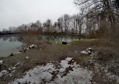 Ufer des Echinger Weihers im Winter