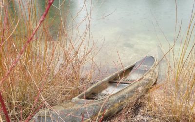 Spezialauftrag im Fischweiher