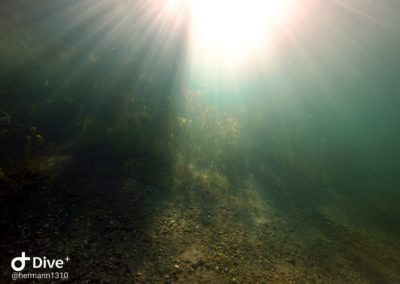 Lichteinfall unter Wasser